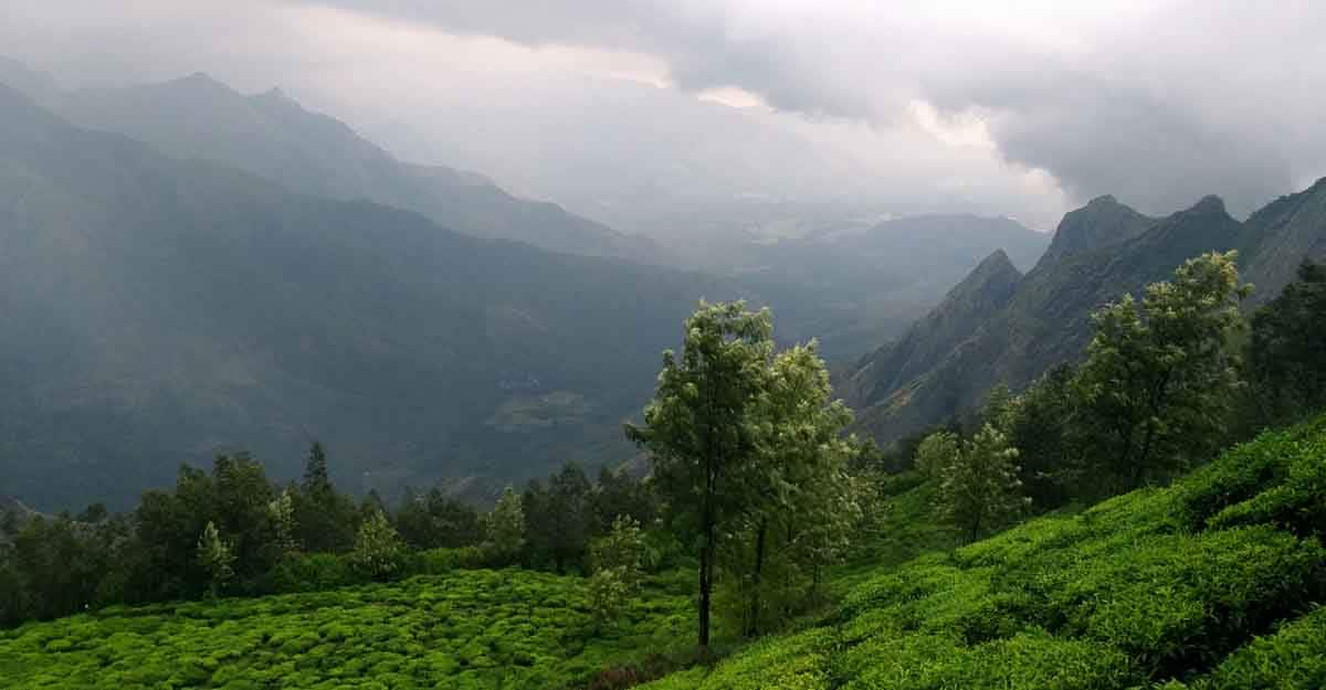 Modify title as Camp at Worlds Highest Tea Estate Kolukkumalai Hills