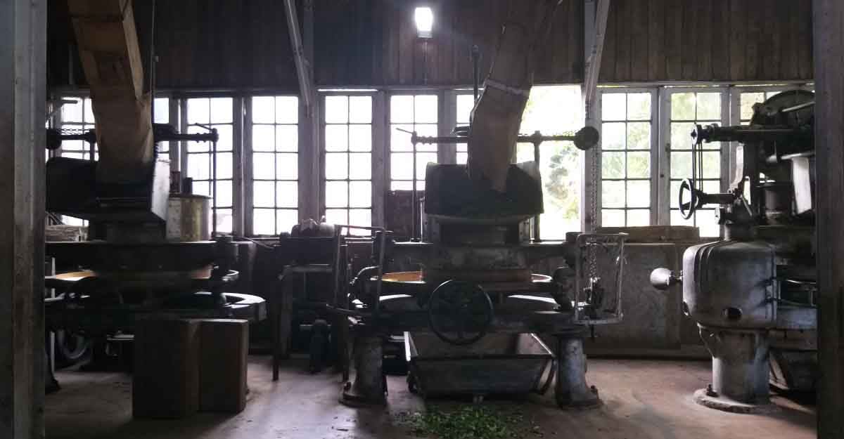 tea-factory-1 tea-factory-1