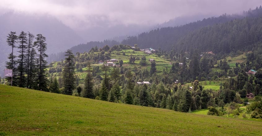 Want to test nerves? Trek to Great Himalayan National Park Want to test nerves? Trek to Great Himalayan National Park