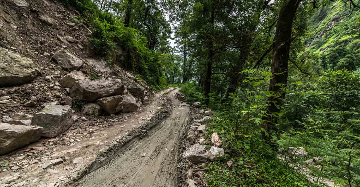 Want to test nerves? Trek to Great Himalayan National Park Want to test nerves? Trek to Great Himalayan National Park