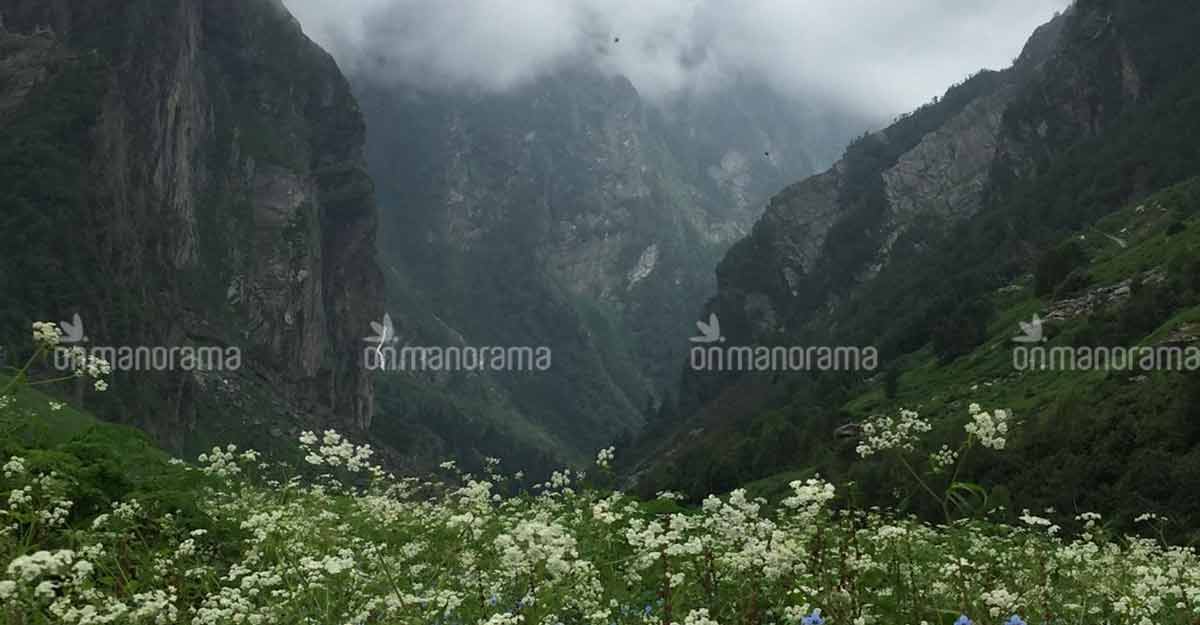 Why you must visit the Valley of Flowers in monsoon