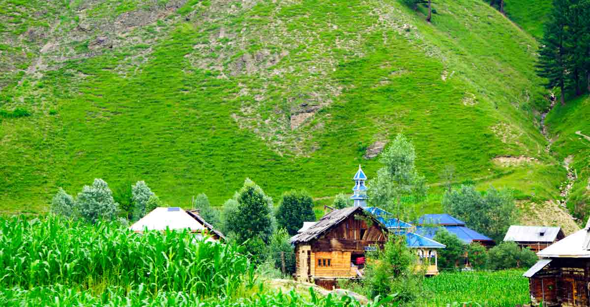 A look into the lives of the nomadic Gujjar tribe A look into the lives of the nomadic Gujjar tribe