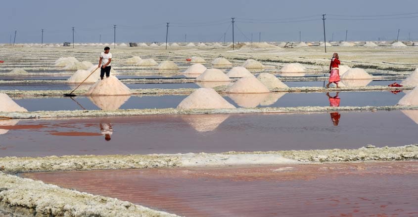 blur-police-abandon-salt-lake-in-rajasthan-feast-performance-discharge