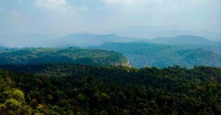 Visit Masinagudi this holiday season to be mesmerized by nature