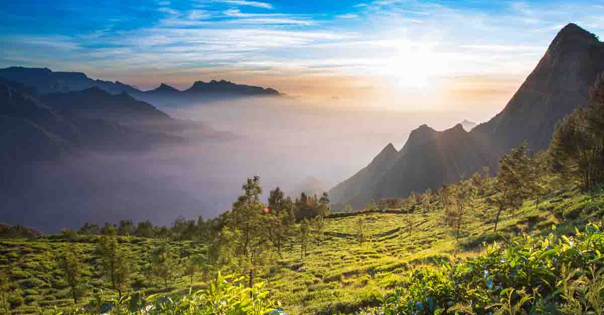 Divine sunrise, organic tea make Kolukkumalai a special winter