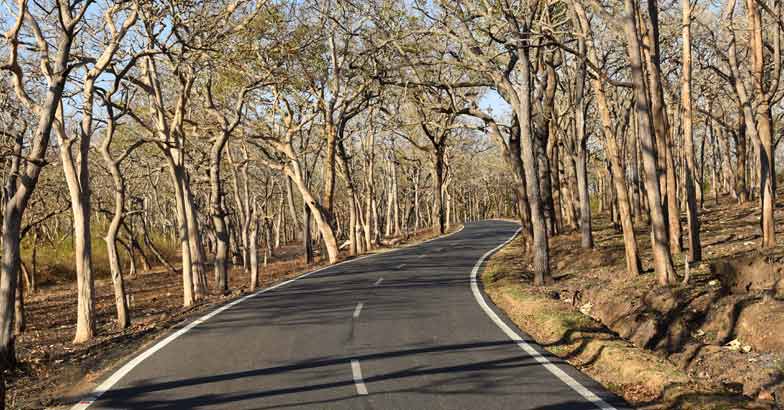 bandipur