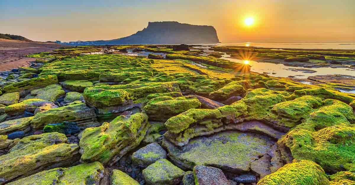 Here's why Jeju Island, South Korea's Hawaii, is known as 'Island