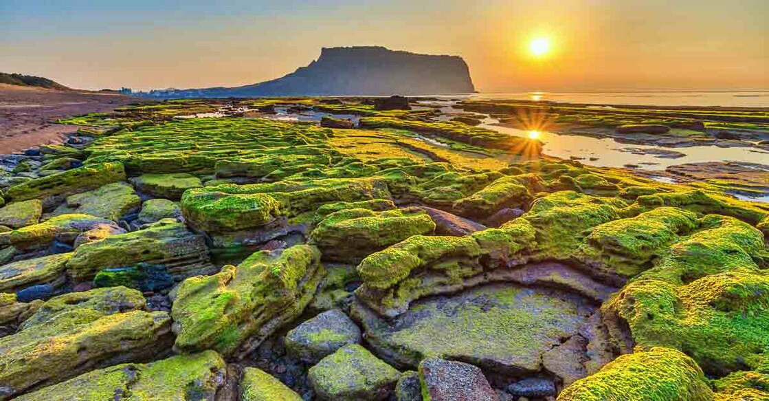 jeju-island-korea