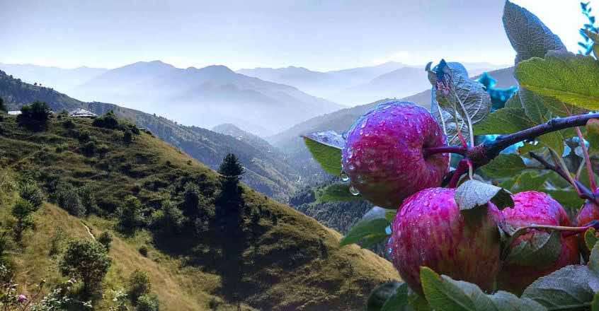 fagu-himachal fagu-himachal