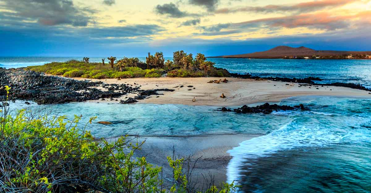 galapagos-island galapagos-island