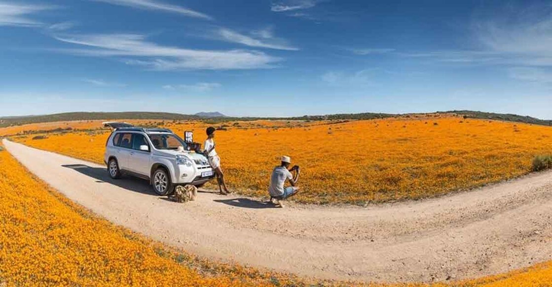 Namaqualand flowers.