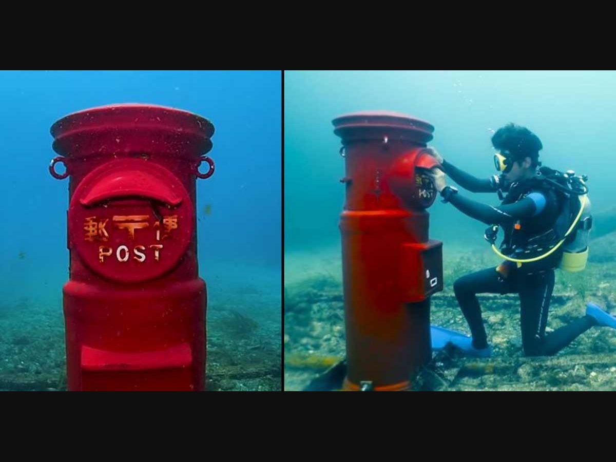 Dive down, you got mail: World's deepest underwater post box | Onmanorama  Travel