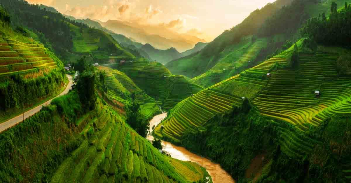 sopa-vietnam sopa-vietnam