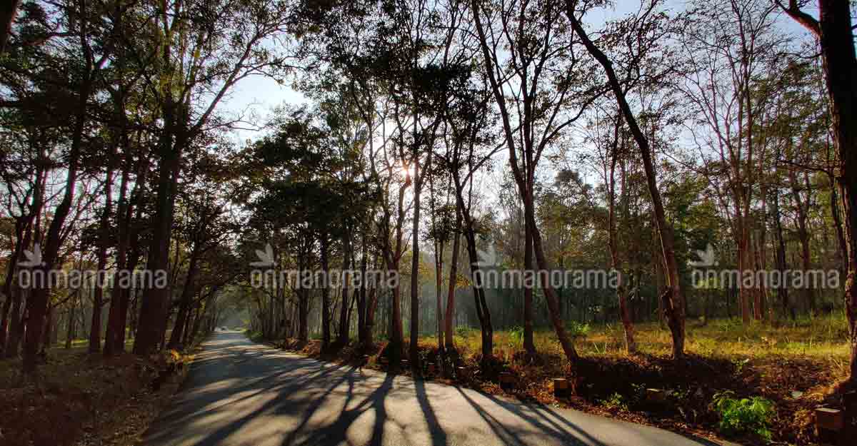 muthanga muthanga
