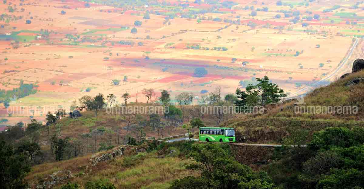 Gopalaswamy Betta: A quick getaway from Wayanad Gopalaswamy Betta: A quick getaway from Wayanad