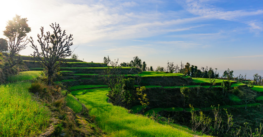 dehradun
