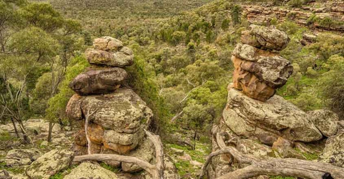 Set on a virtual tour to New South Wales, Australia