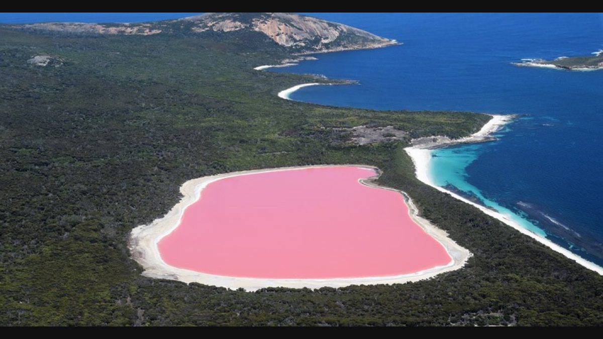 Pink lake - Wikipedia