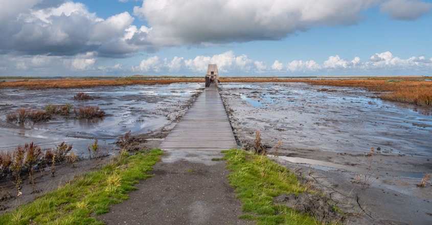 Dutch Islands Marker Wadden Created For The Cause Of Nature Travel News Manorama English