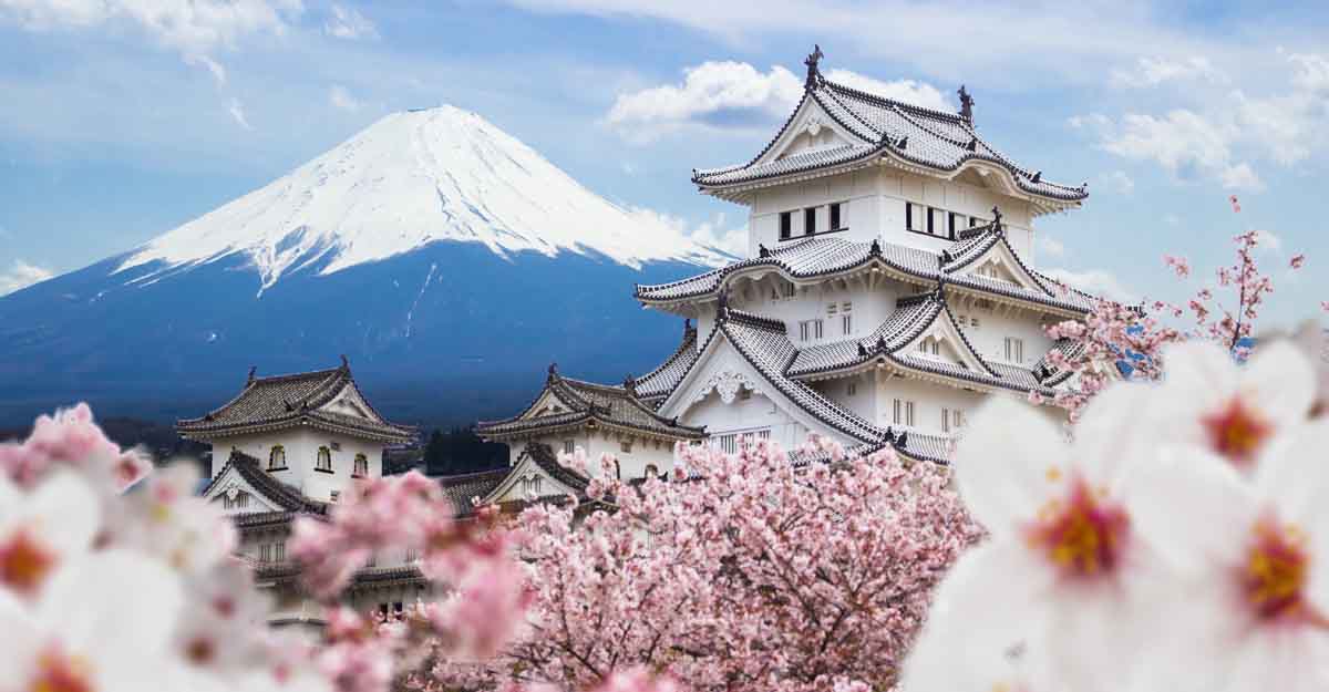hemji castle osaka