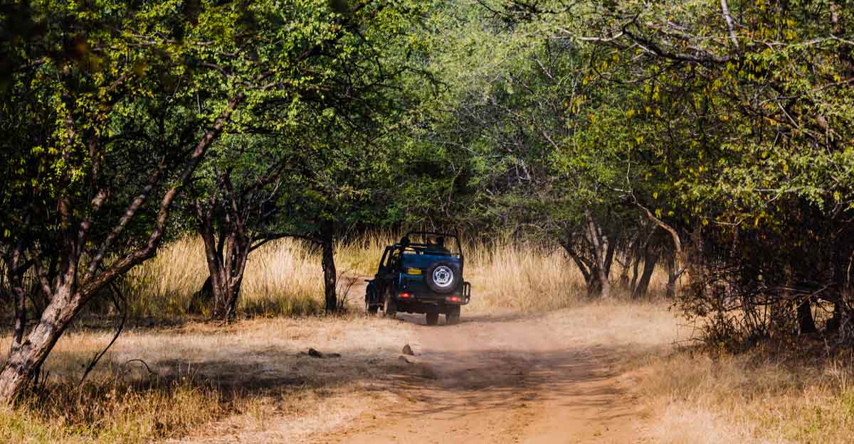 ranthambore ranthambore