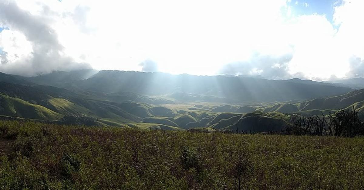 dzukou-valley-13 dzukou-valley-13