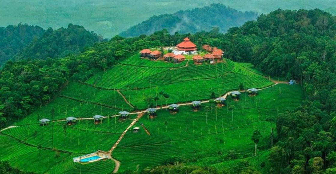 wild planet jungle resort