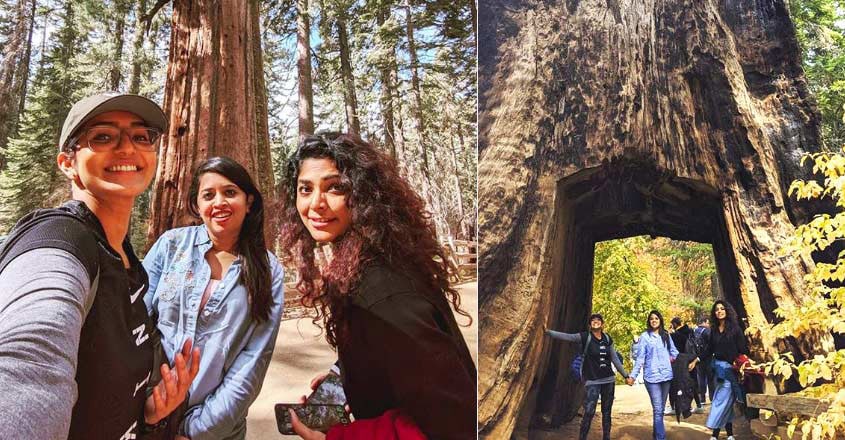 rima parvathy rima parvathy