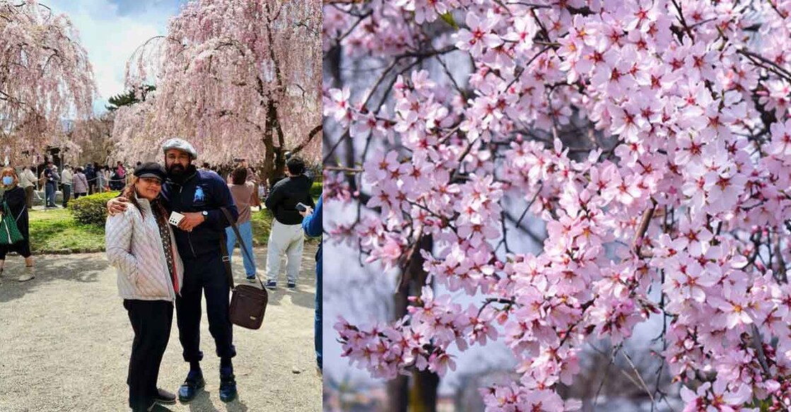 Mohanlal and Suchitra at Hiroshima Park in Japan (left). Photo: @mohanlal/Instagram