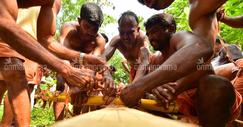 Kasaragod prepares for Mahabali's arrival in Thulam - and it is not Onam Kasaragod prepares for Mahabali's arrival in Thulam - and it is not Onam