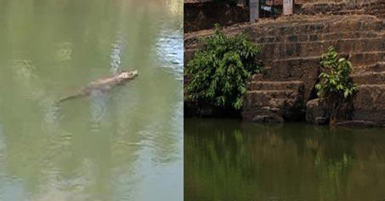 Ananthapura-Lake-Temple2