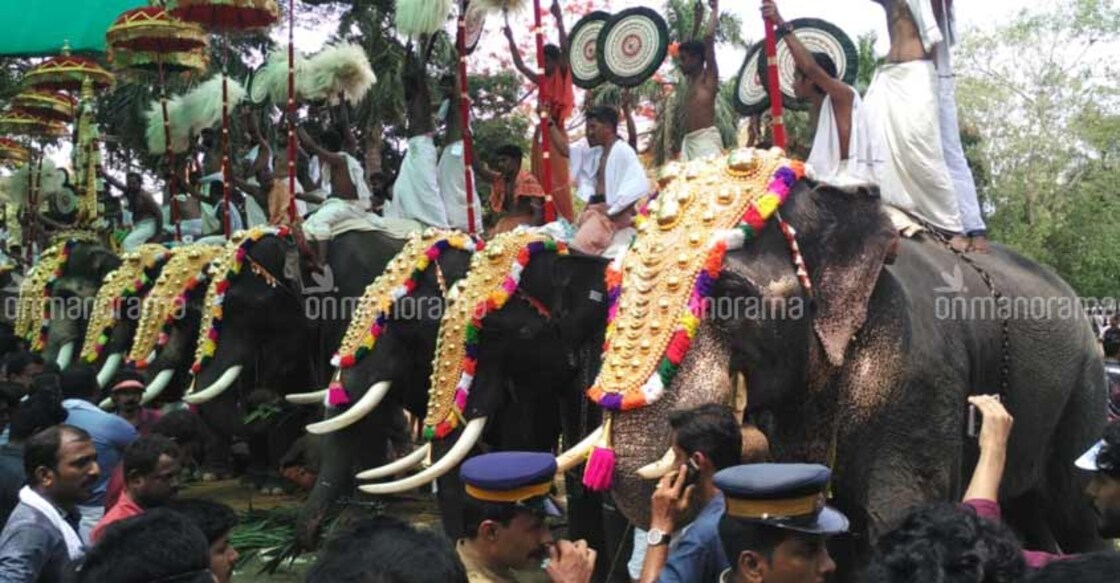 Thrissur Pooram Thrissur Pooram