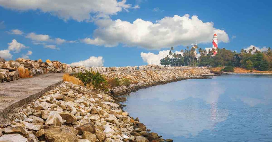 coastal-ecosystem