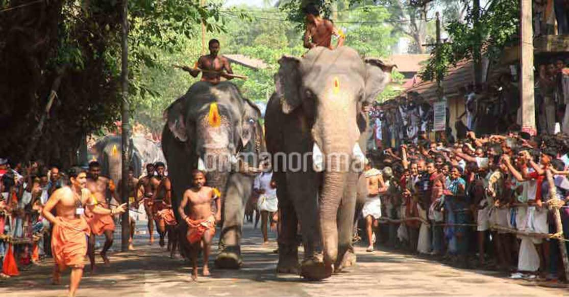 Anayottam. Photo: Onmanorama