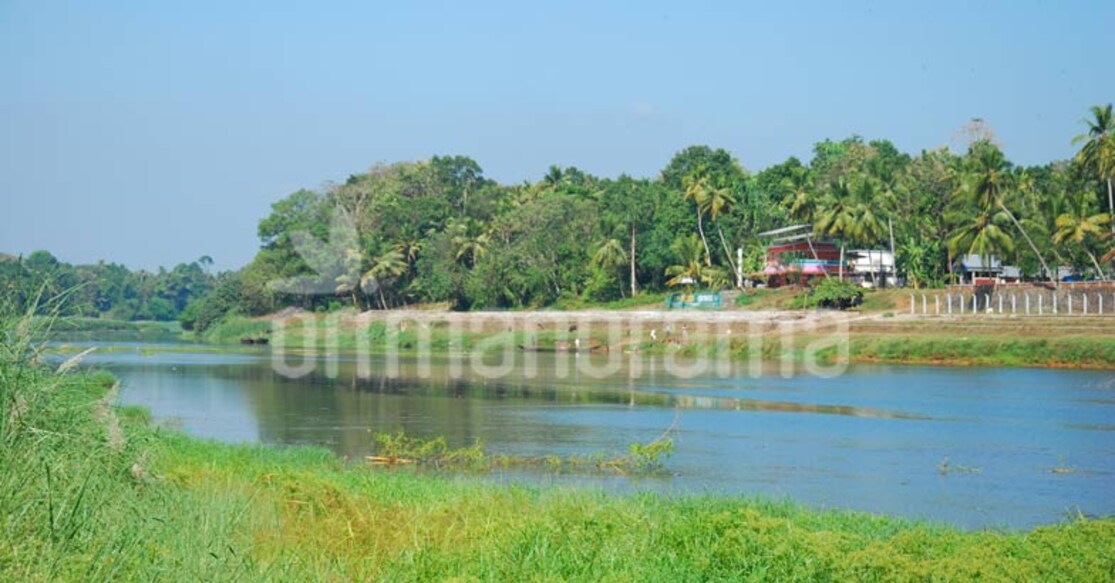 River Pamba River Pamba. Photo: Manorama/Gitanjali Diwakar