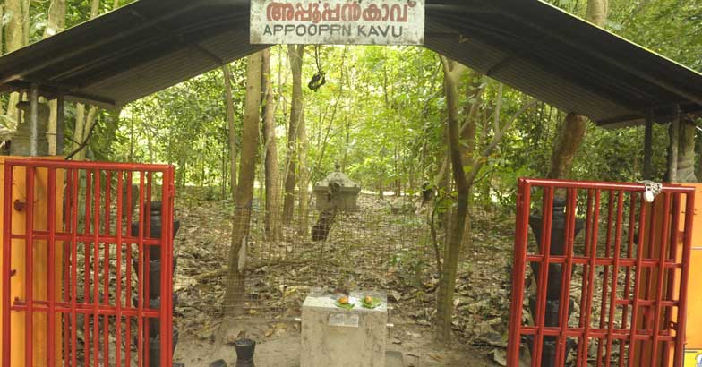 Mannarasala Ayilyam Mannarasala Ayilyam