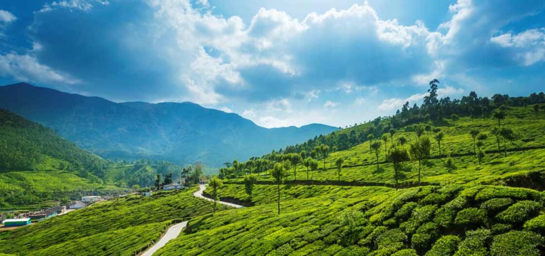 A view of Munnar. Photo: Getty Images