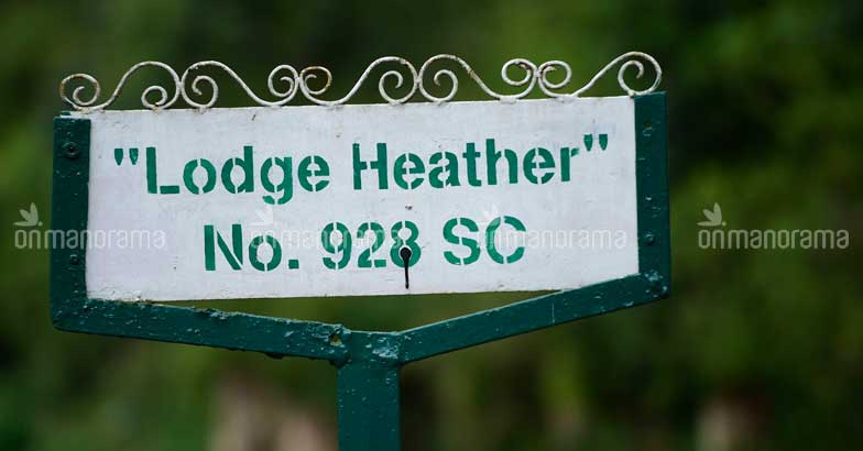 You cannot stay at Lodge Heather No 928 SC You cannot stay at Lodge Heather No 928 SC