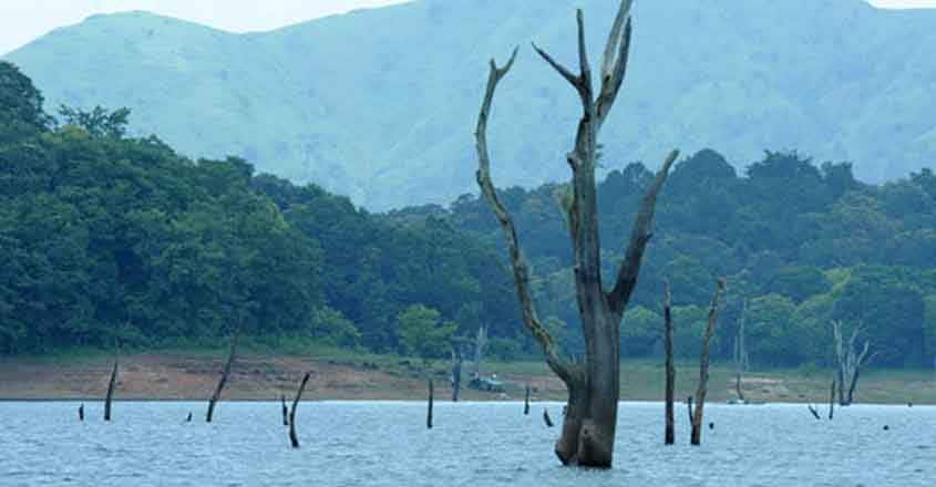 Thekkady Lake Thekkady Lake