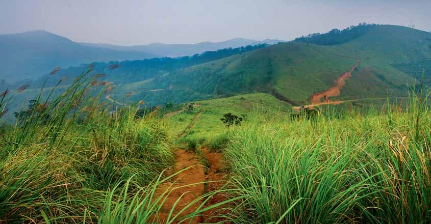 Idukki Wildlife Sanctuary, Vellappara, Painavu, Idukki, Peerumade, Idukki  District, Kerala, 685601