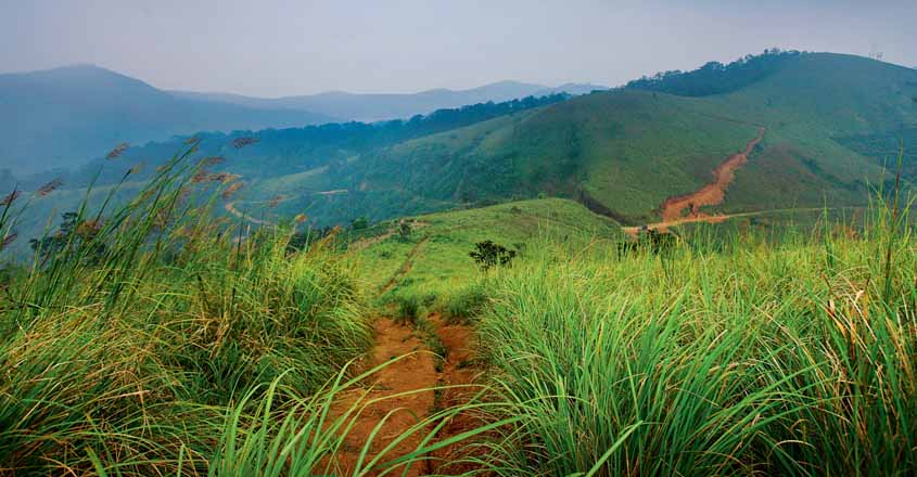 Landshark sold 55 acres of grabbed govt land in Vagamon as plots