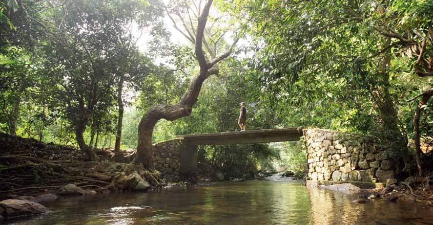vagamon-bridge vagamon-bridge