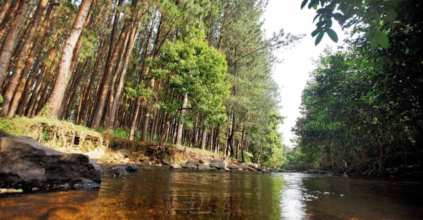 vagamon-river vagamon-river