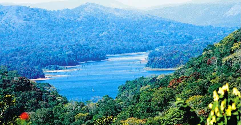 _fish-trail-idukki _fish-trail-idukki