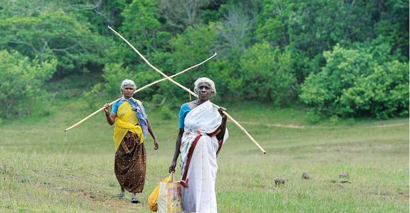 _fish-trail-idukki1 _fish-trail-idukki1