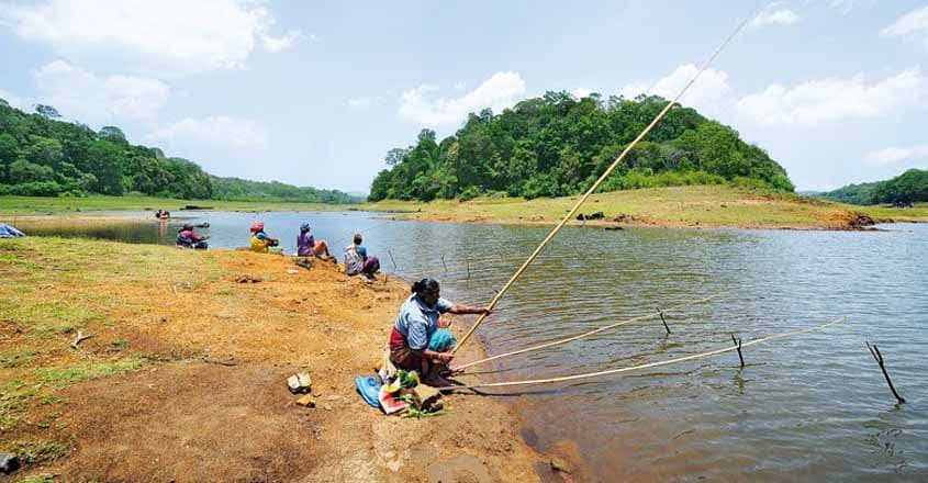 _fish-trail-idukkiTHEKKADY---CHOONDAKKAR003 _fish-trail-idukkiTHEKKADY---CHOONDAKKAR003