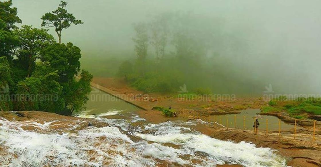 Waterfalls, tribals and elephants - all at one go at Mankulam
