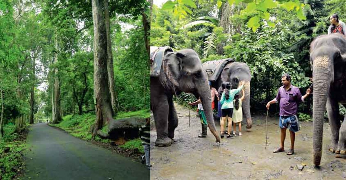 Thekkady: An evergreen attraction