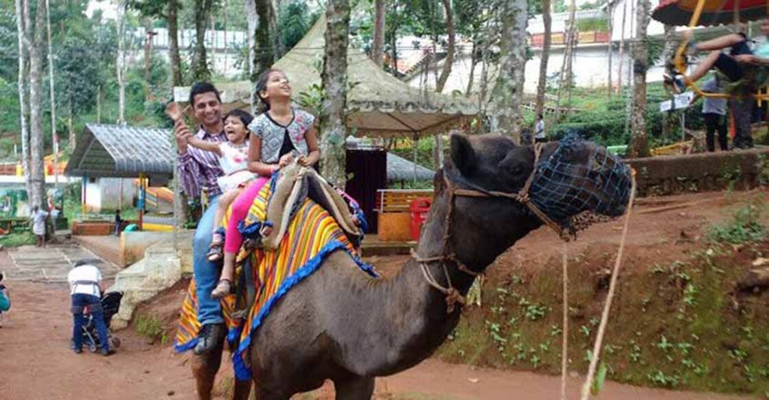 Dream Land: A cocktail of charm and frolic in Munnar