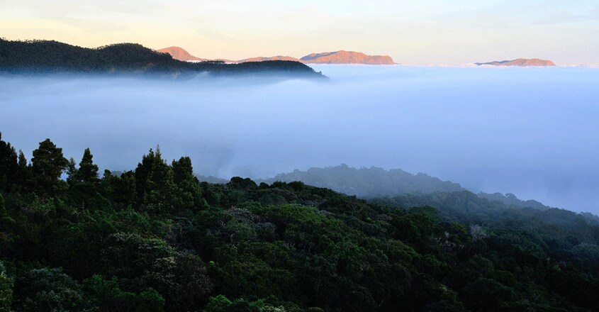 Stay above a sea of mist at 'Methap,' 'Stone House' in Anamudi Shola Stay above a sea of mist at 'Methap,' 'Stone House' in Anamudi Shola